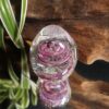 Rose – Image 2