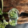 Vert clair – Image 2