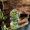Vert clair – Image 4